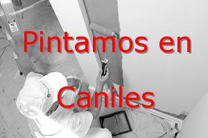 Pintor Granada Caniles