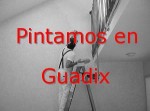 pintor_guadix.jpg