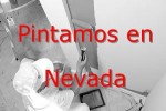 pintor_nevada.jpg